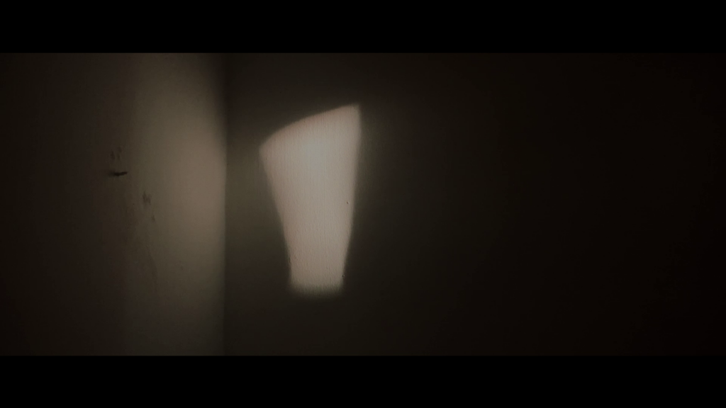 In the Penumbra, the Strange Wave (2022)