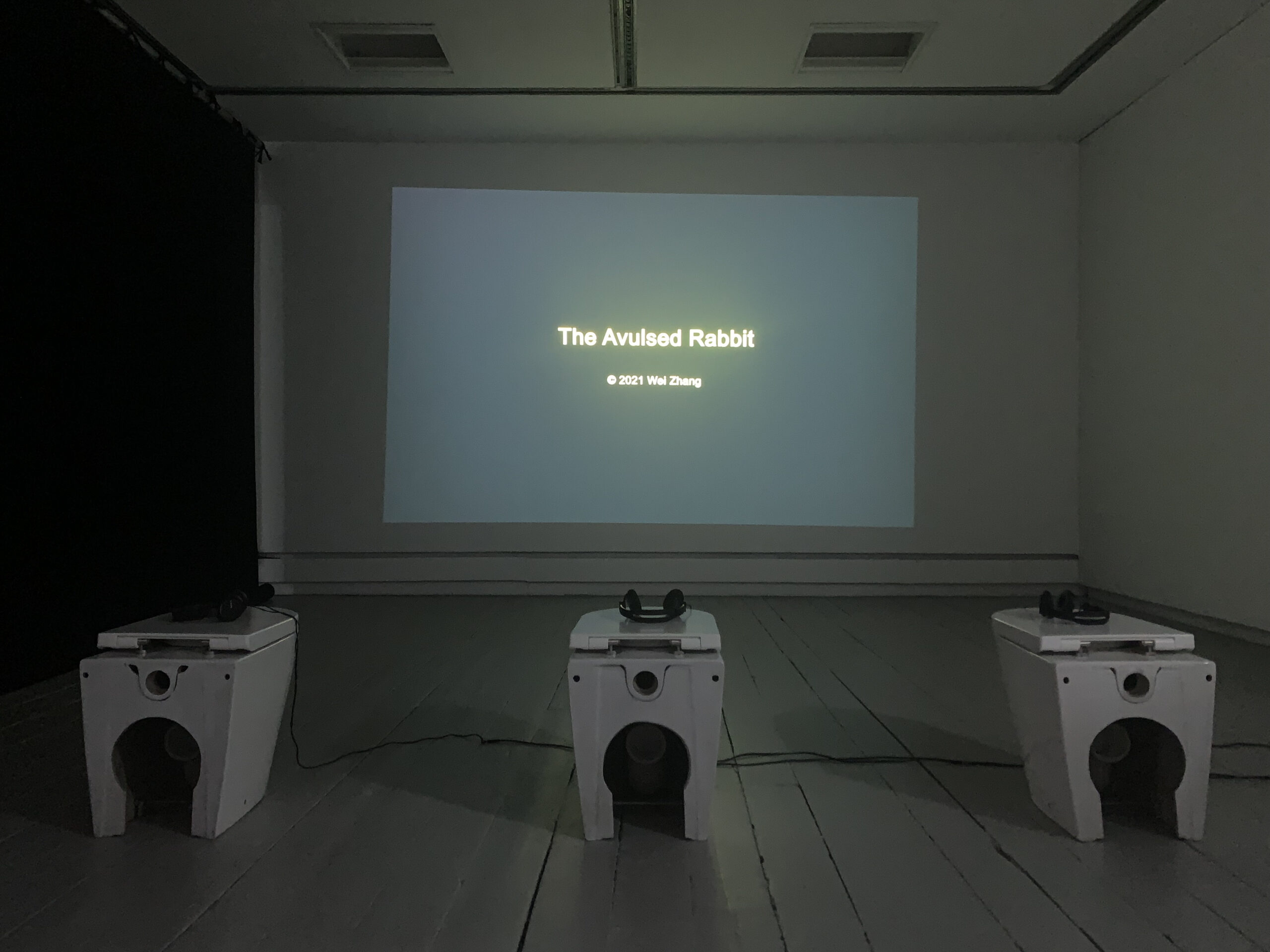 The Avulsed Rabbit (2021)