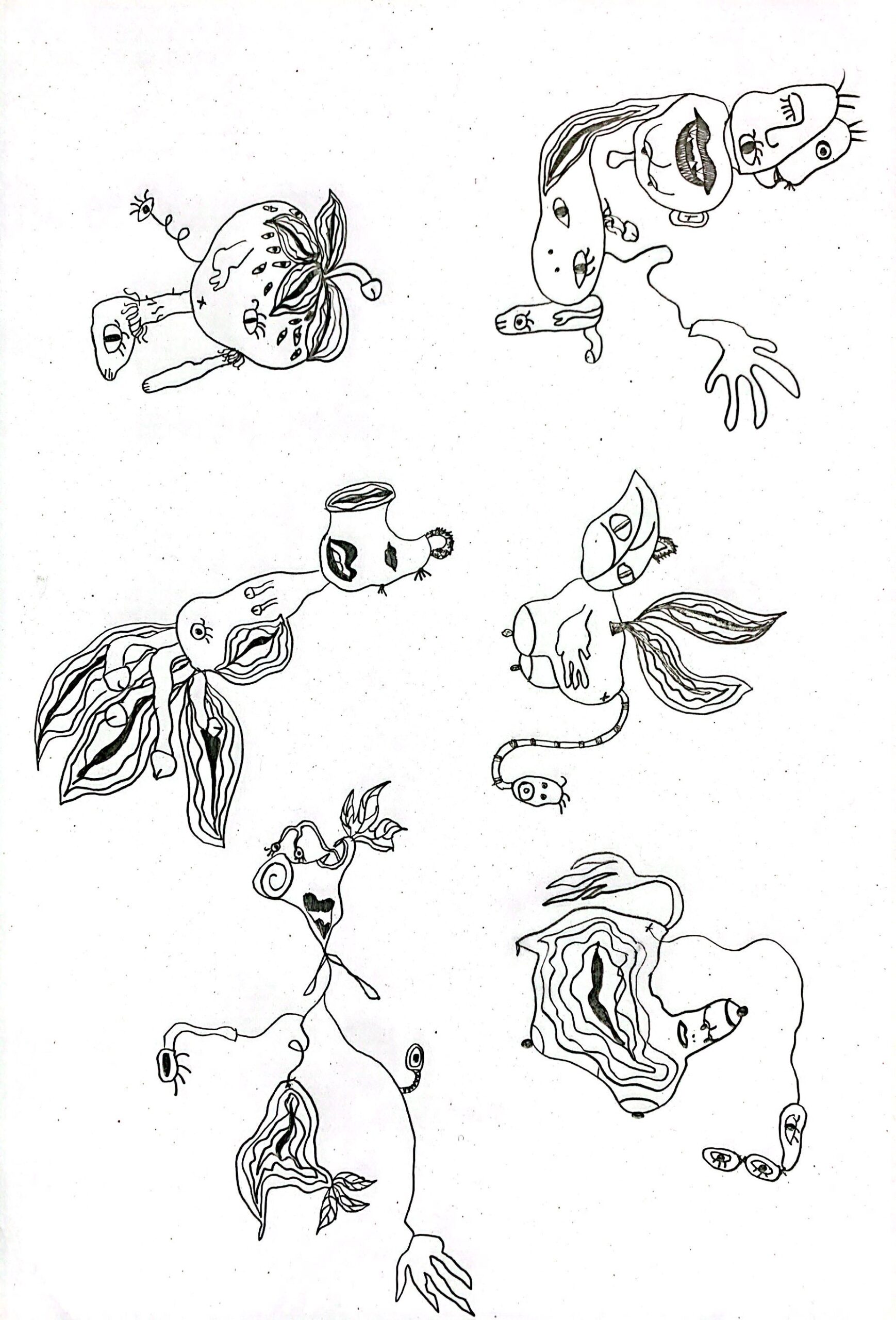 Sketch
