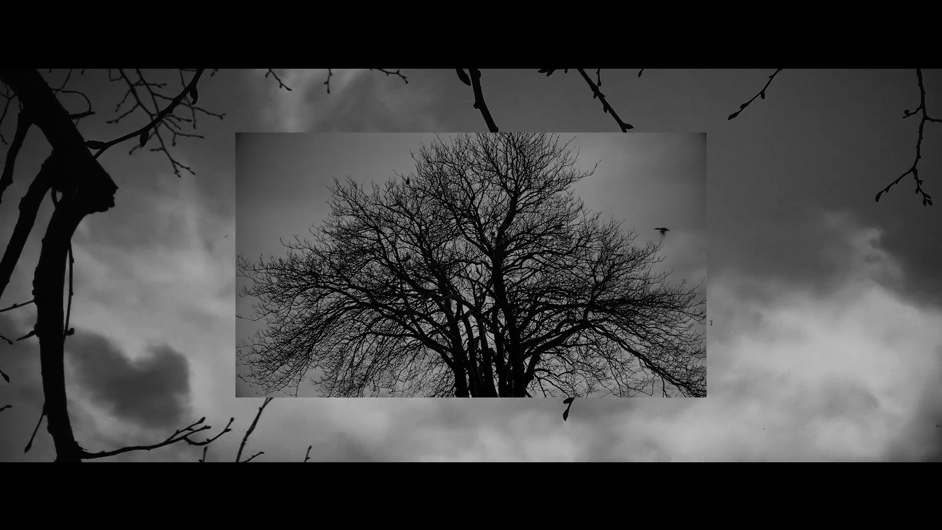 In the Penumbra, the Strange Wave (2022)