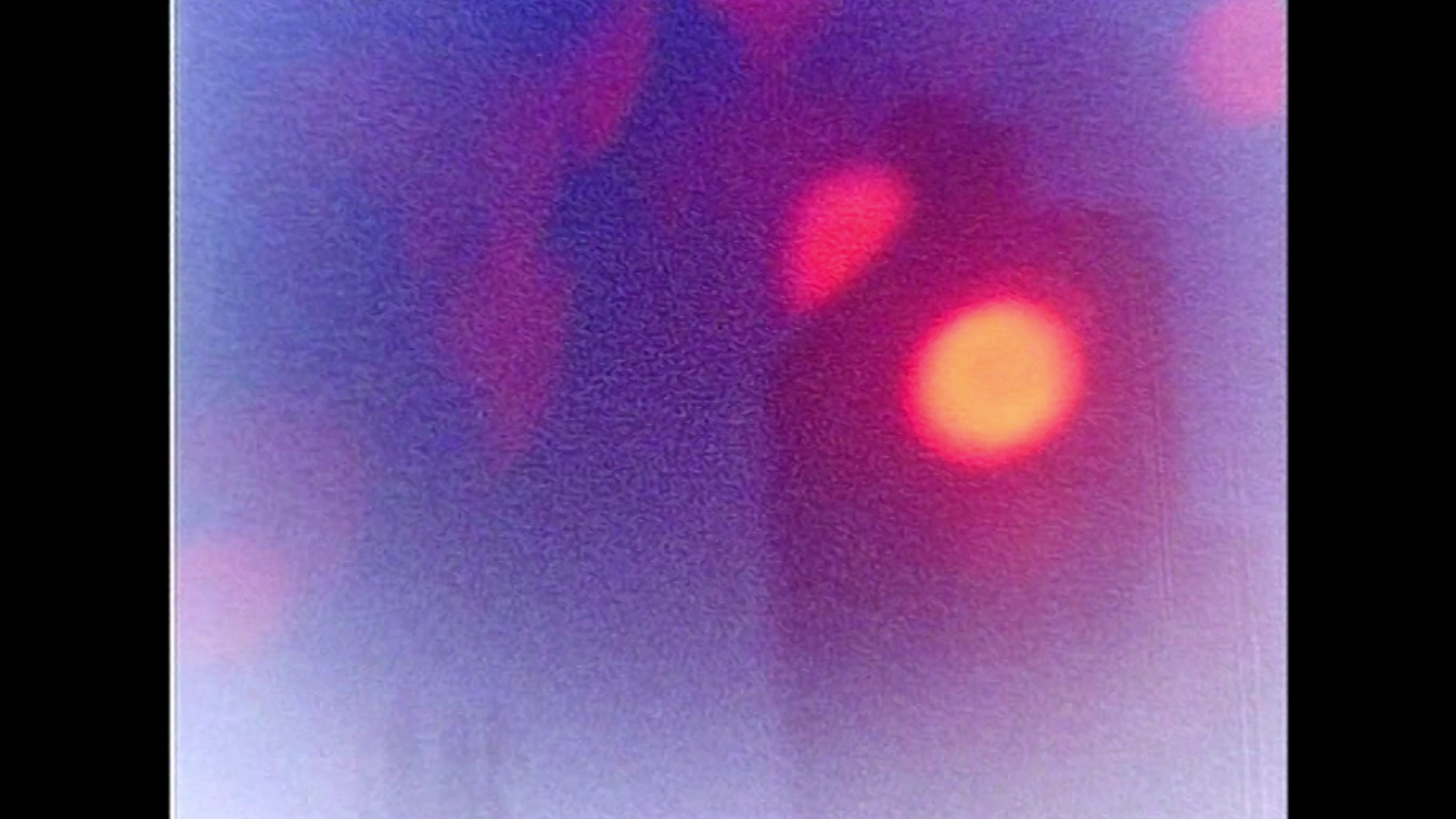 The Avulsed Rabbit (2021)