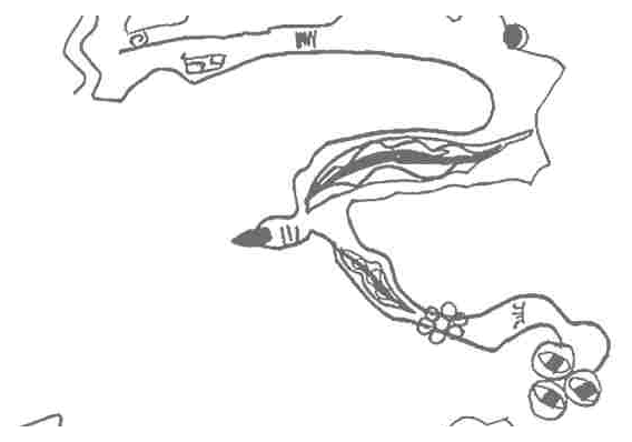 Elongated hybrid figure with floral limbs