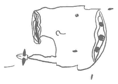 Side-facing mask-like head